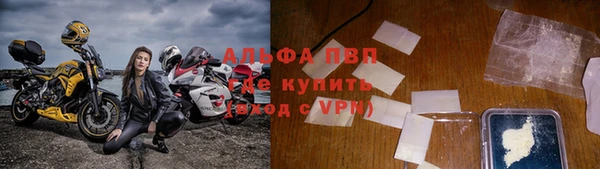 крисы Елабуга