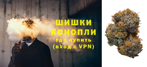 ПСИЛОЦИБИНОВЫЕ ГРИБЫ Елизово