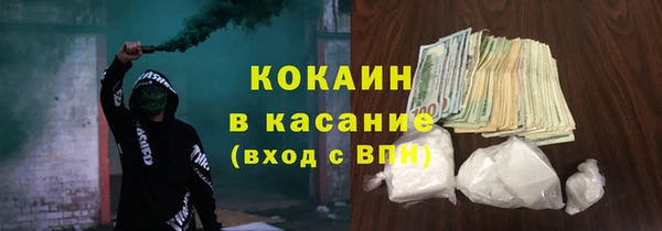 ешки Ельня