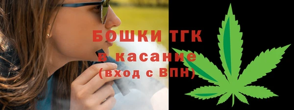 крисы Елабуга