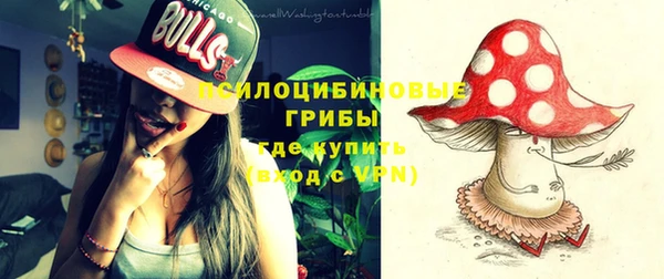 крисы Елабуга