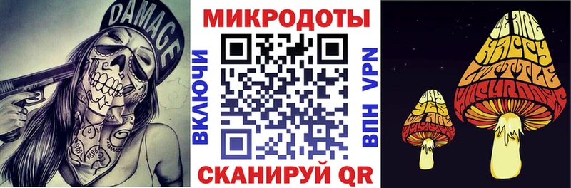 Купить  Десногорск  Галлюциногенные грибы GOLDEN TEACHER 